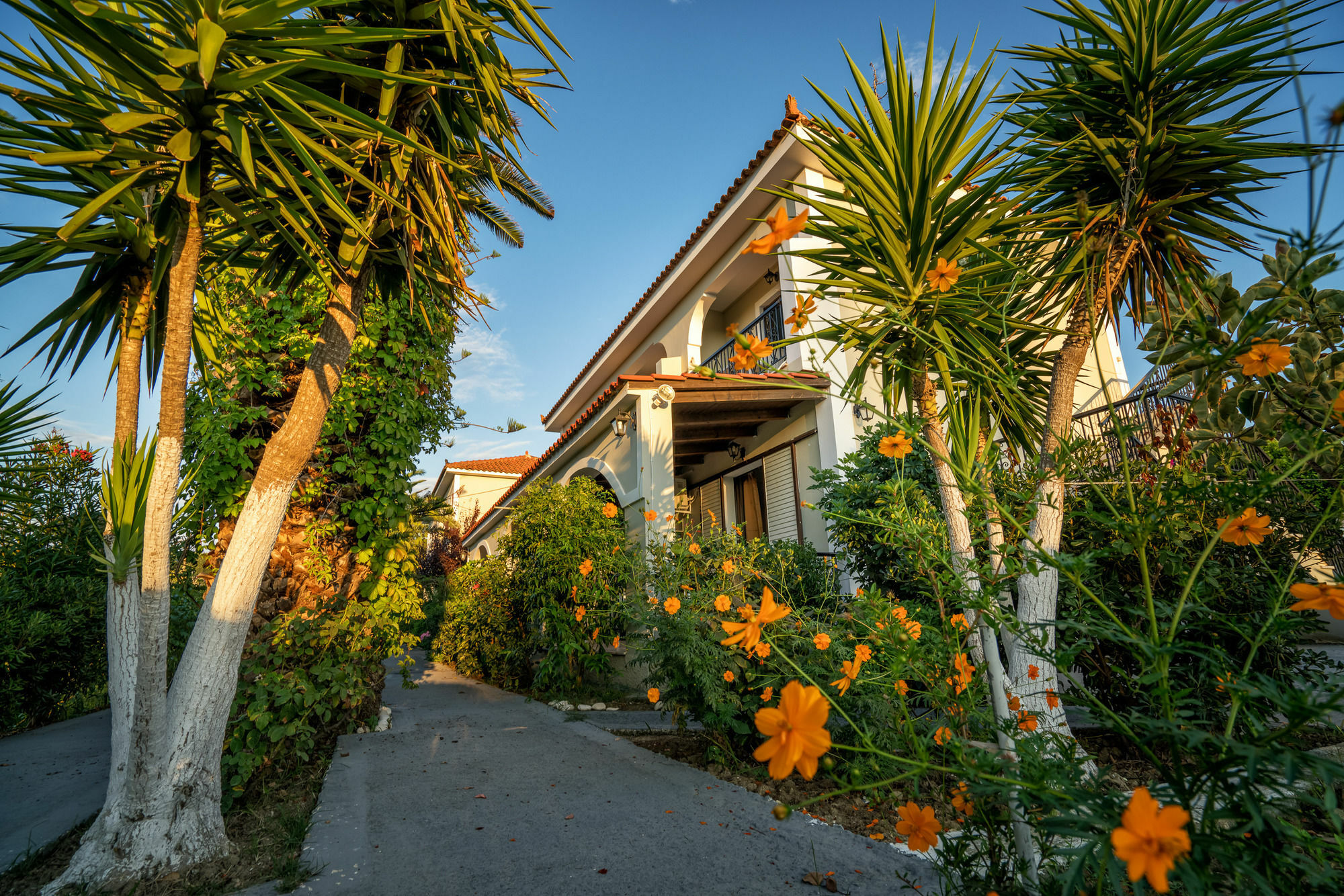 Tota Studios Tsilivi  Extérieur photo